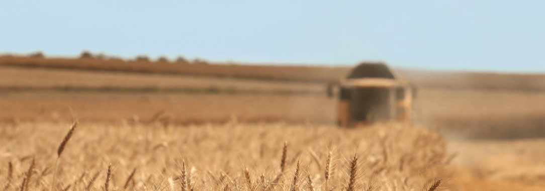 Grain Balance Background